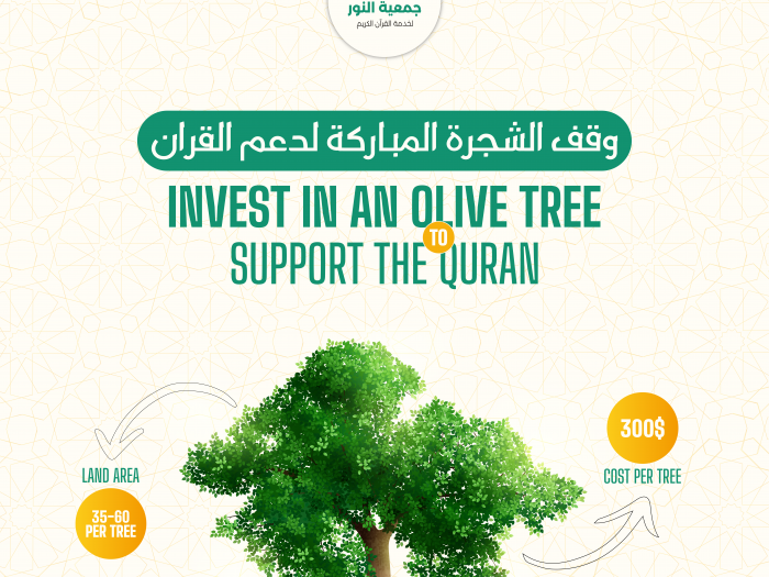 Invest in an Olive tree to support the Quran - Endowment